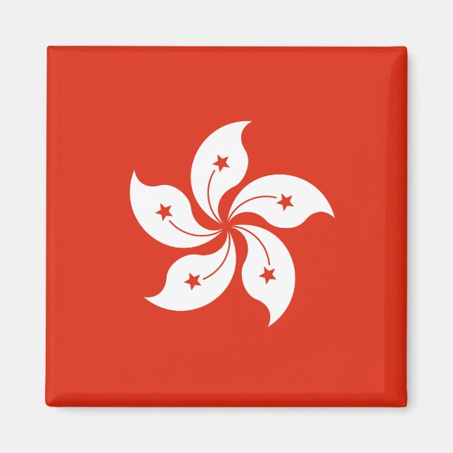 Imán de la bandera de Hong Kong (Frente)