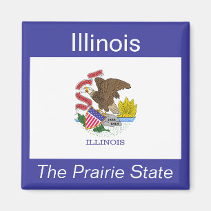 Imán de la bandera de Illinois
