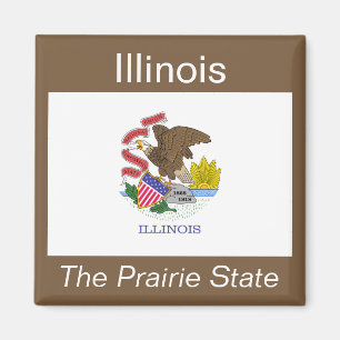 Imán de la bandera de Illinois