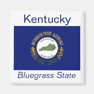 Imán de la bandera de Kentucky