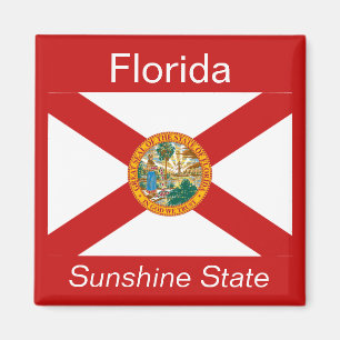 Imán de la bandera de la Florida