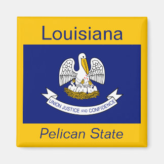 Imán de la bandera de Luisiana