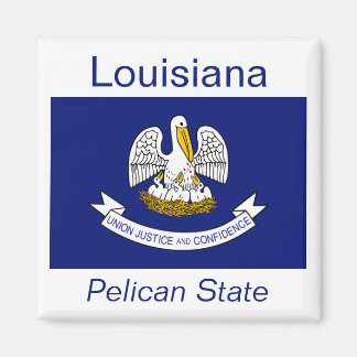 Imán de la bandera de Luisiana