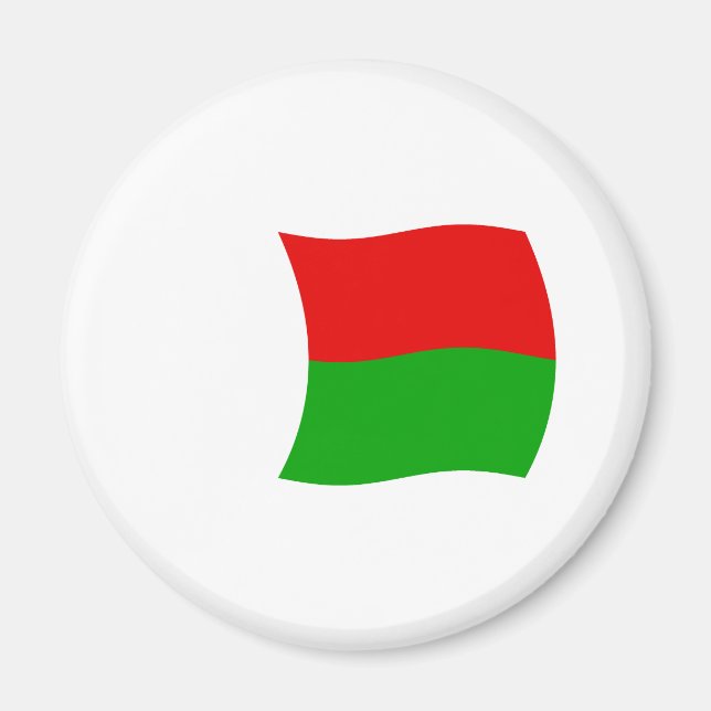 Imán de la bandera de Madagascar (Frente)