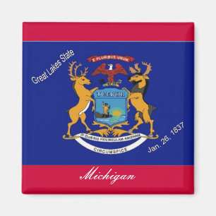 Imán de la bandera de Michigan