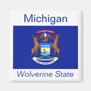 Imán de la bandera de Michigan