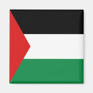 Imán de la bandera de Palestina