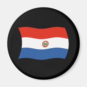 Imán de la Bandera de Paraguay