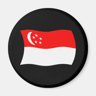 Imán de la bandera de Singapur