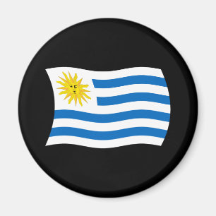 Imán de la Bandera de Uruguay