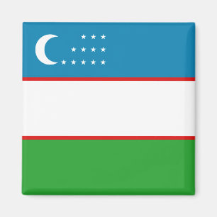 Imán de la bandera de Uzbekistán