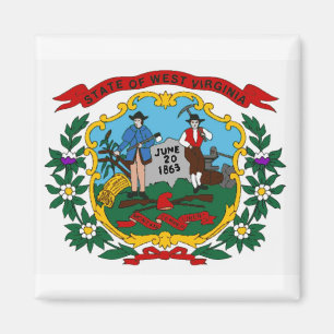 Imán de la bandera del estado de Virginia