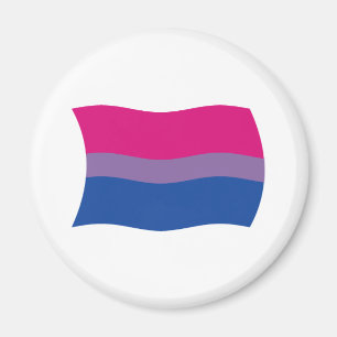 Imán de la Bandera del Orgullo Bisexual