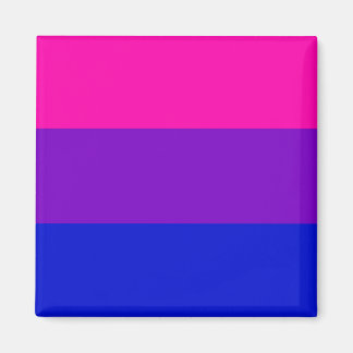 imán de la bandera del orgullo de Bi