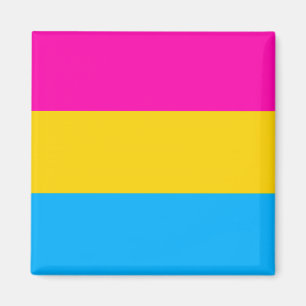 Imán de la bandera del orgullo de la cacerola