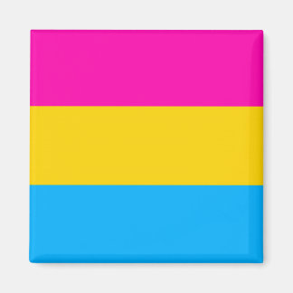 Imán de la bandera del orgullo de Pan