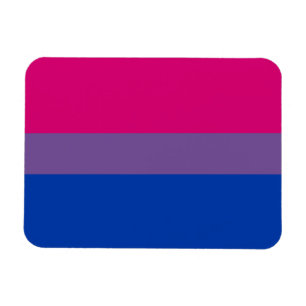 Imán de la bandera del orgullo del BI (superior)