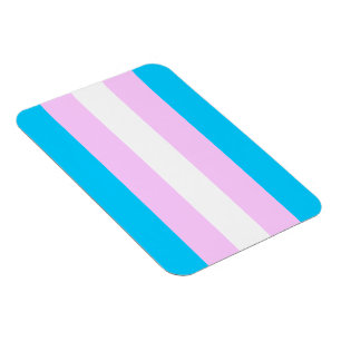 Imán de la bandera del transexual