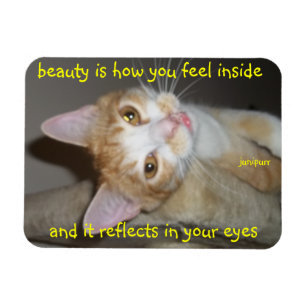 imán de la belleza del junipurr