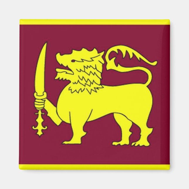 Imán de la bestia amarilla (Frente)