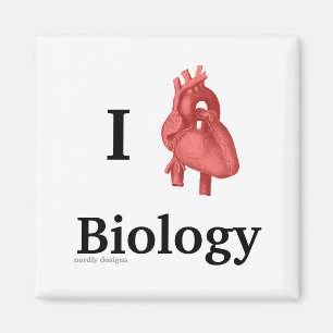 imán de la biología del corazón i