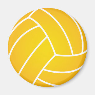 Imán de la bola del water polo