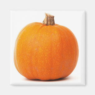 Imán de la calabaza