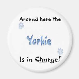 Imán de la carga de Yorkshire Terrier