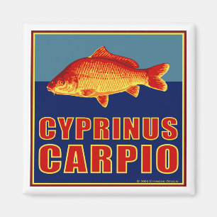 Imán de la carpa