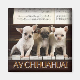 Imán de la chihuahua
