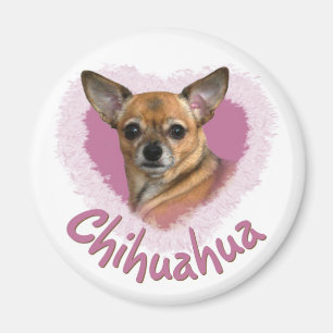 Imán de la chihuahua
