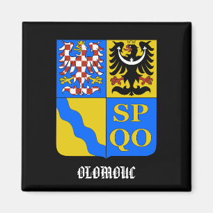 Imán de la cocina de la República Checa de Olomo