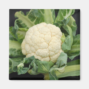 Imán de la coliflor