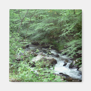 Imán de la corriente de Great Smoky Mountains