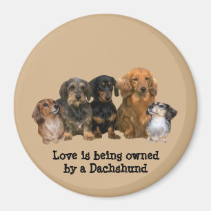 Imán de la cuadrilla del Dachshund