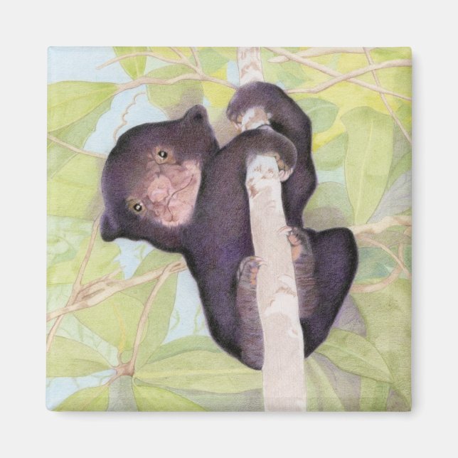 Imán de la Cubierta del Oso de Sol (Frente)