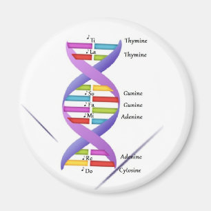 Imán de la DNA