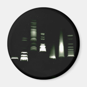 Imán de la electroforesis del gel de la DNA