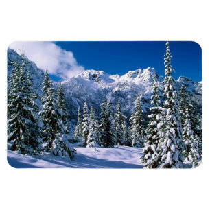 Imán de la escena del invierno