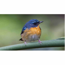 imán de la escultura de la foto 2x3