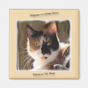 Imán de la felicidad del gato de la calabaza