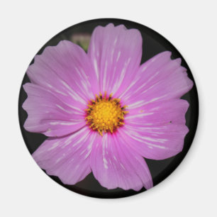 Imán de la flor