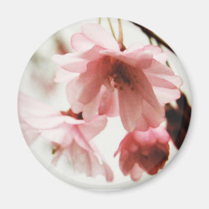 Imán de la flor de cerezo de los CB