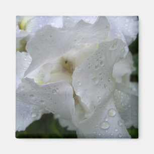Imán de la flor del iris
