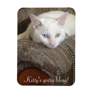 Imán de la foto de Bling del gatito