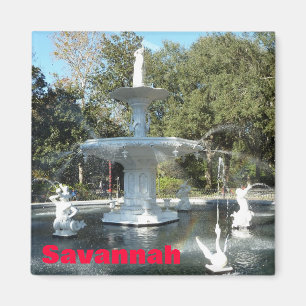 Imán de la foto de la fuente de la sabana del