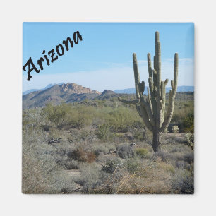 Imán de la foto del cactus del rastro de Arizona