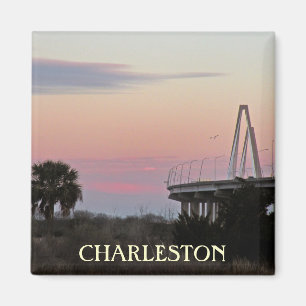 Imán de la foto del recuerdo de Charleston