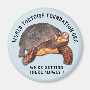 Imán de la fundación de la tortuga del mundo
