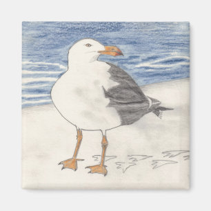 Imán de la GAVIOTA (cuadrado)